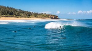 Surfer riding a clean blue wave near a golden beach and rocky headland on a bright morning