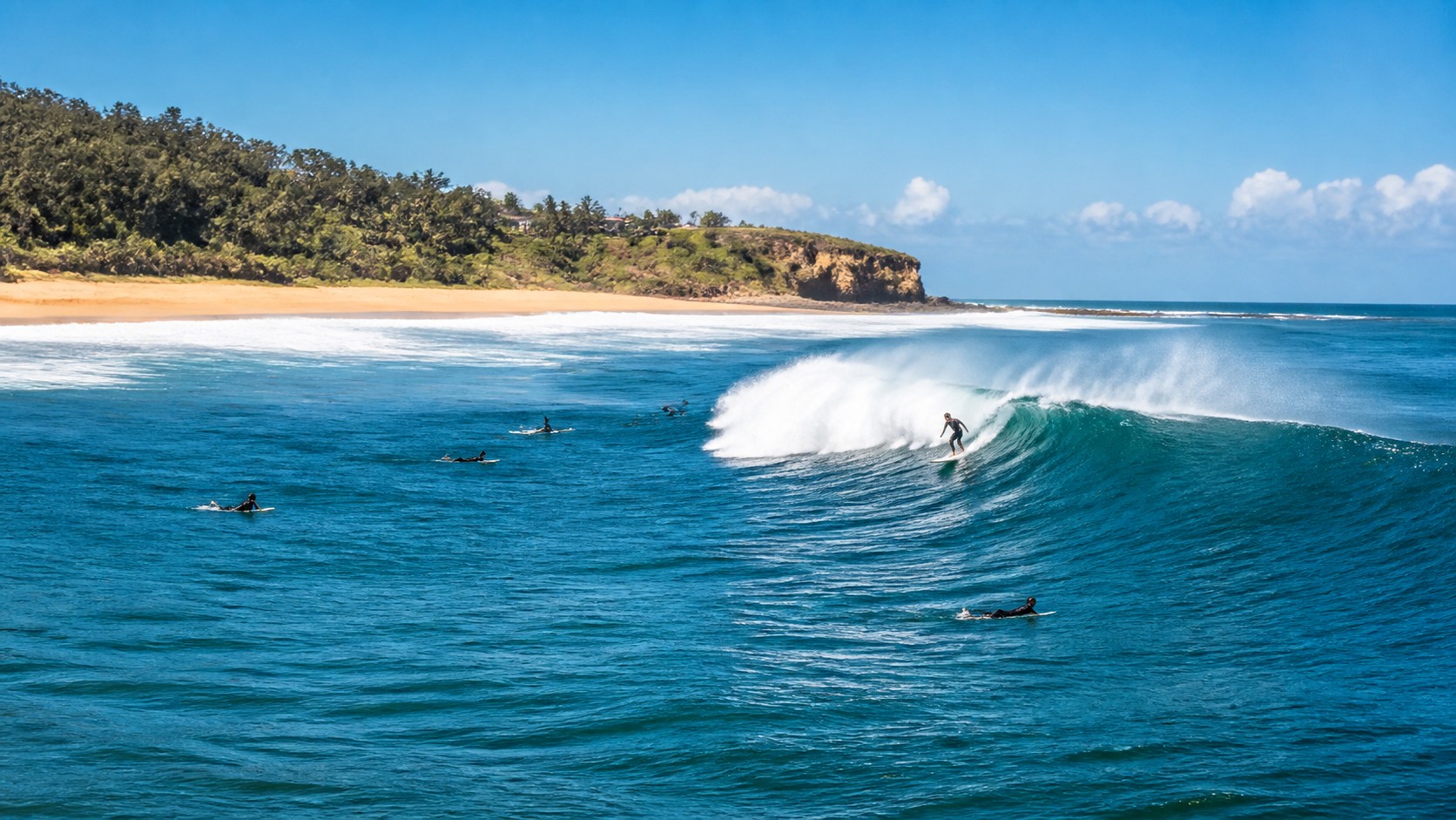 Surfer riding a clean blue wave near a golden beach and rocky headland on a bright morning